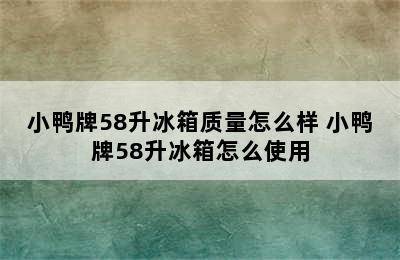 小鸭牌58升冰箱质量怎么样 小鸭牌58升冰箱怎么使用